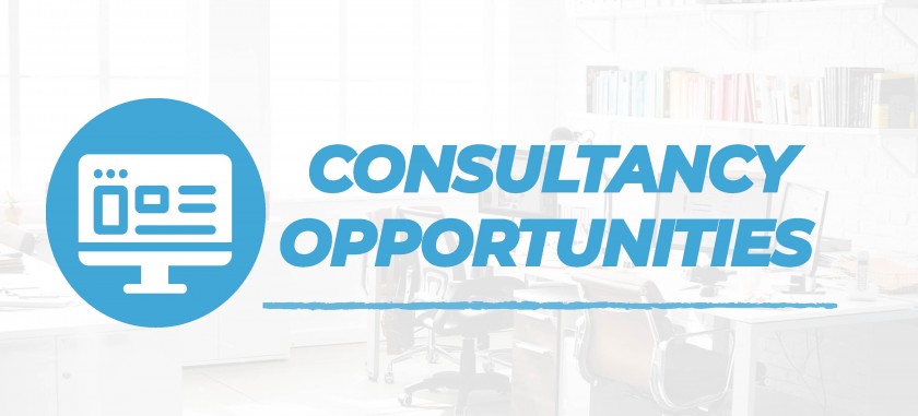 CALL FOR CONSULTANCIES 